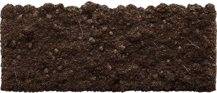 soil-1